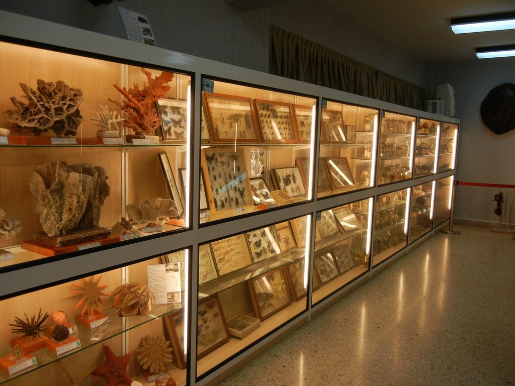Foto 25 Museo Urdaneta (04)