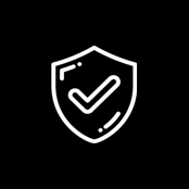 seguridad-n